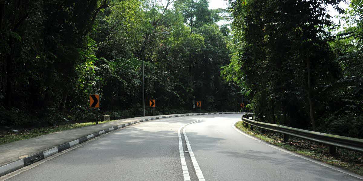 South Buona Vista road